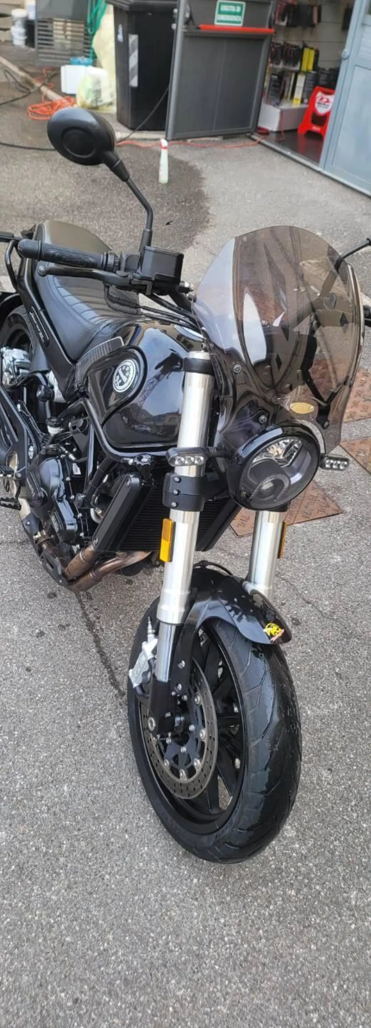 Benelli Leoncino 500 (2021 - 25) (6)
