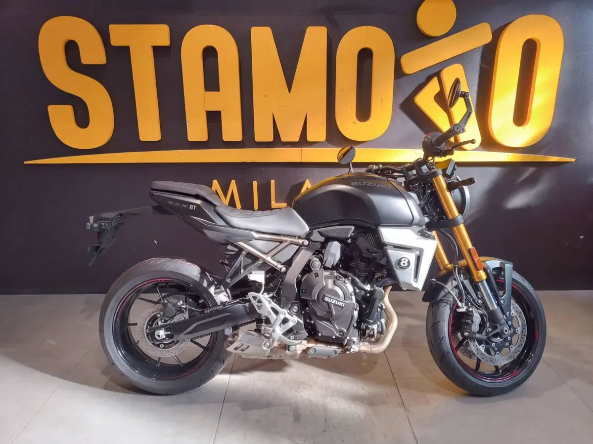 Suzuki GSX-8T (2025 - 26)