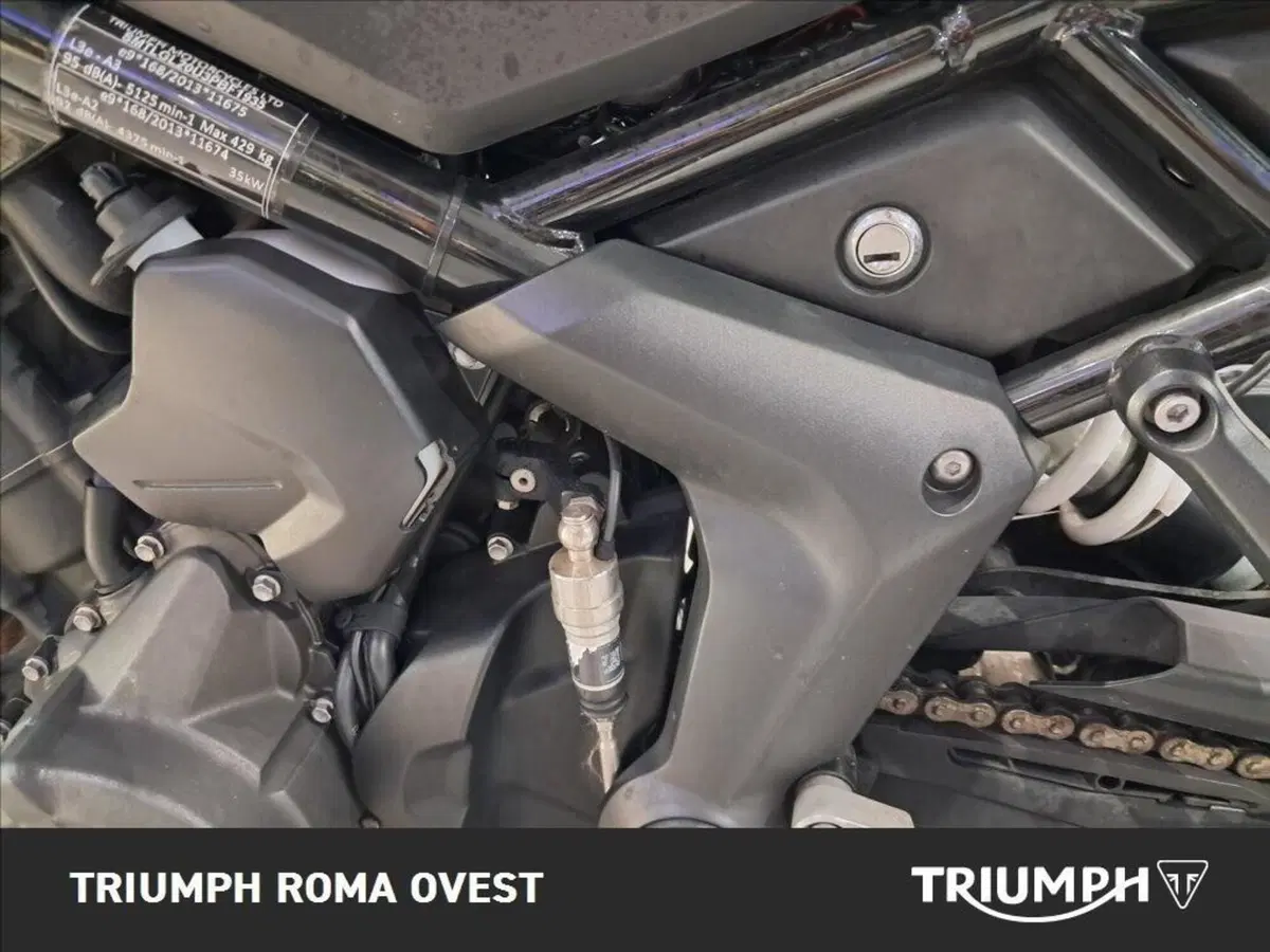 Triumph Tiger Sport 660 (2022 - 24) (9)