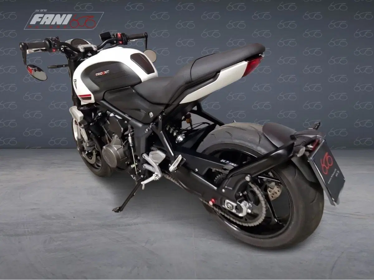 Triumph Trident 660 (2021 - 24) (2)