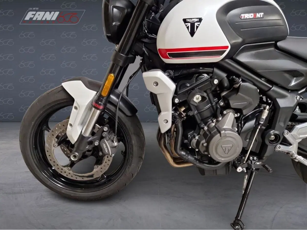 Triumph Trident 660 (2021 - 24) (4)