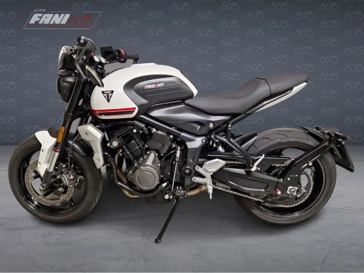 Triumph Trident 660 (2021 - 24) (3)