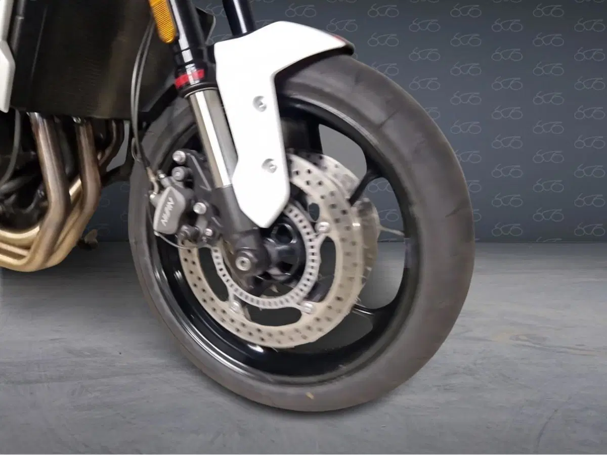 Triumph Trident 660 (2021 - 24) (6)