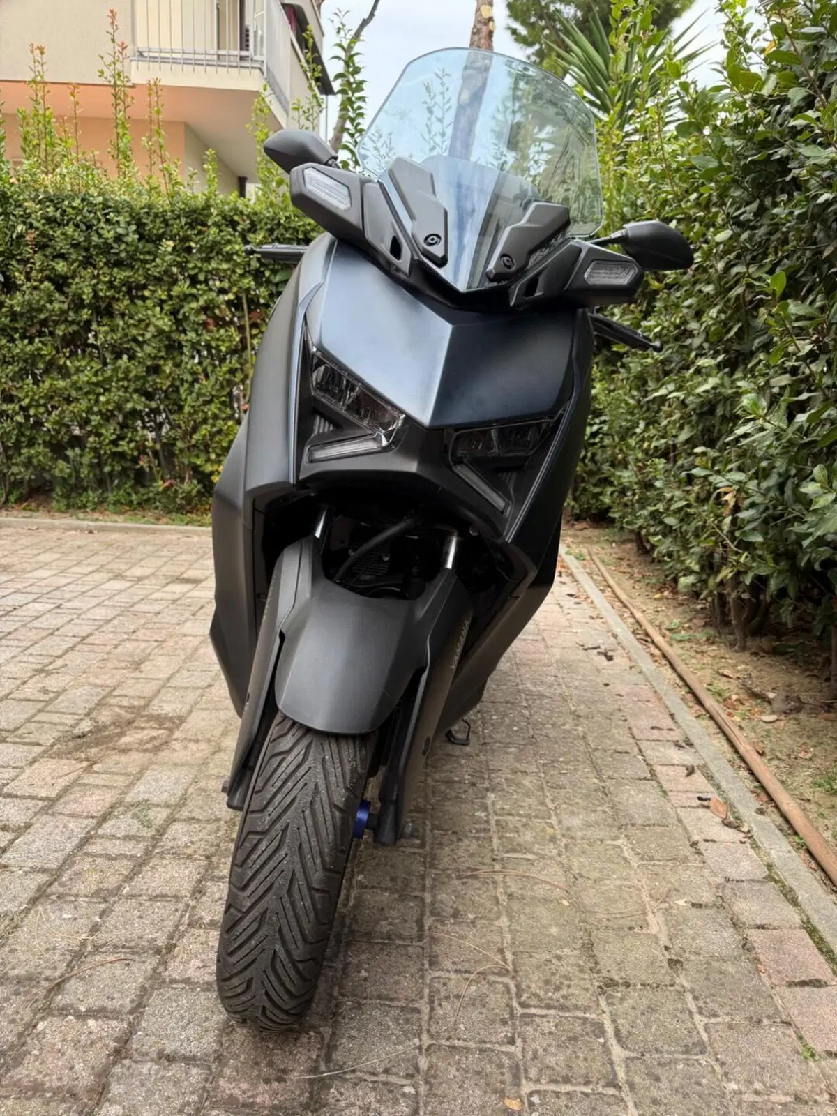 Yamaha X-Max 300 (2021 - 24) (6)