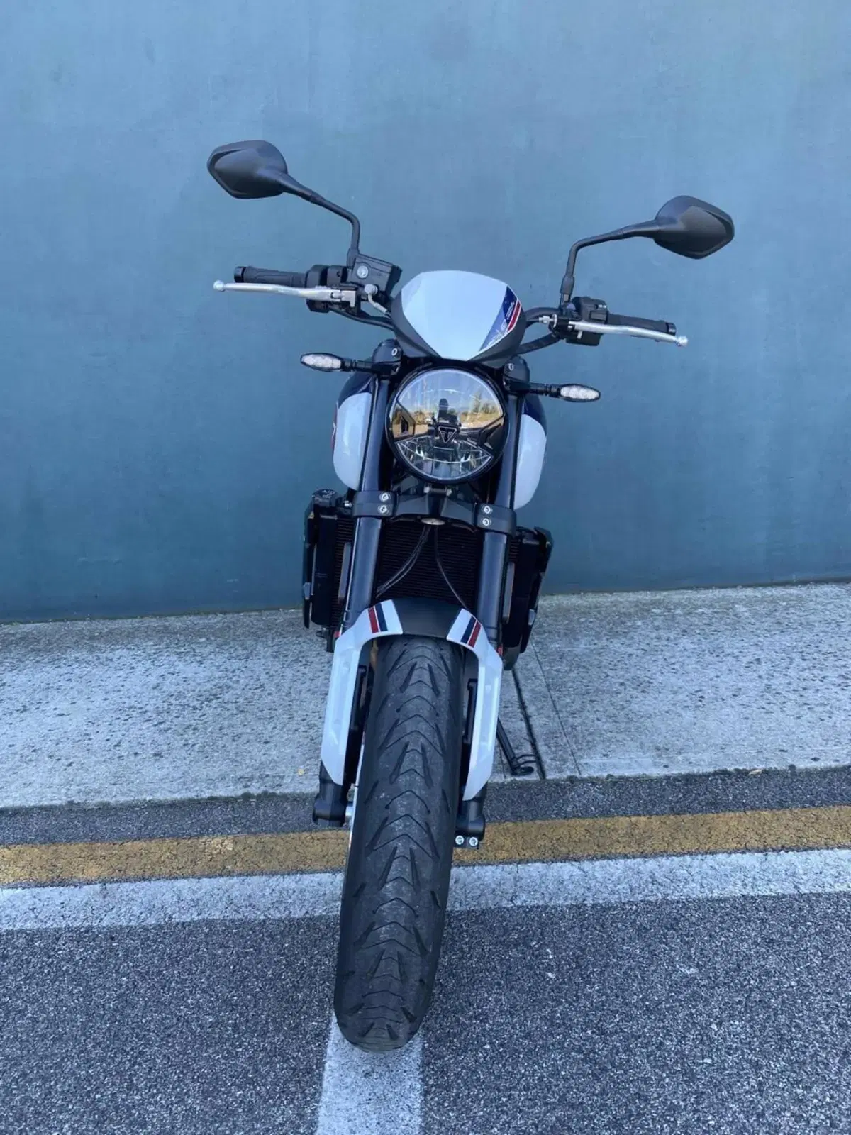 Triumph Trident 660 Triple Tribute Edition (2024) (6)