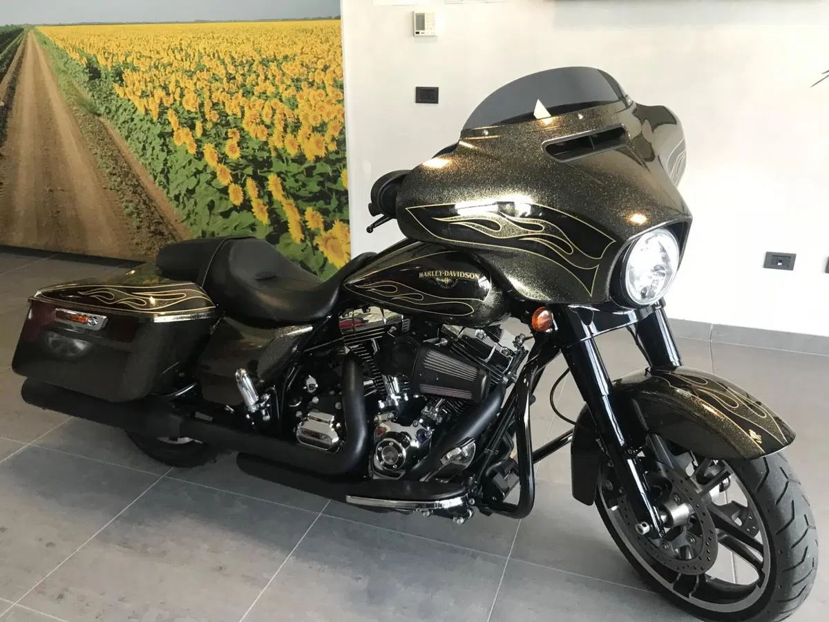 Harley-Davidson 1690 Street Glide Special (2014 - 16) - FLHX (4)