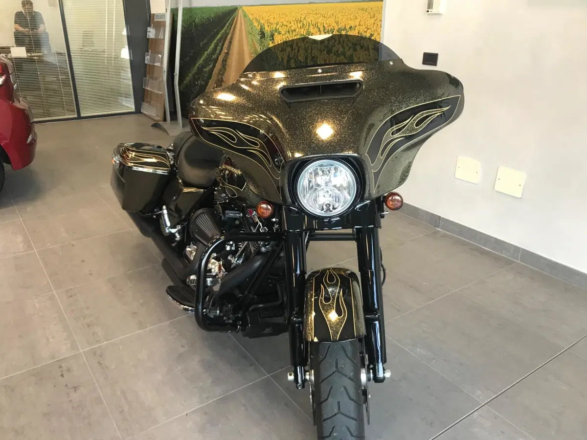 Harley-Davidson 1690 Street Glide Special (2014 - 16) - FLHX (8)
