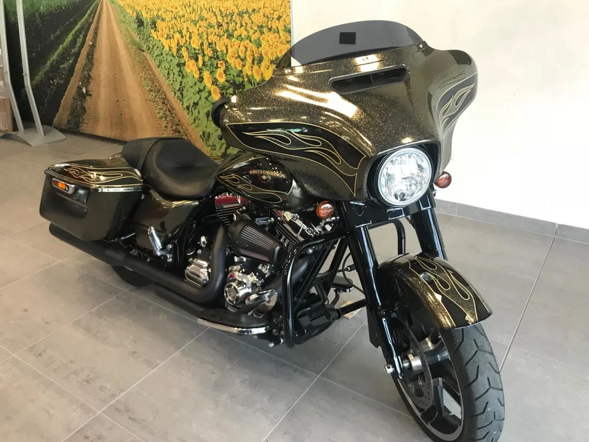 Harley-Davidson 1690 Street Glide Special (2014 - 16) - FLHX (9)