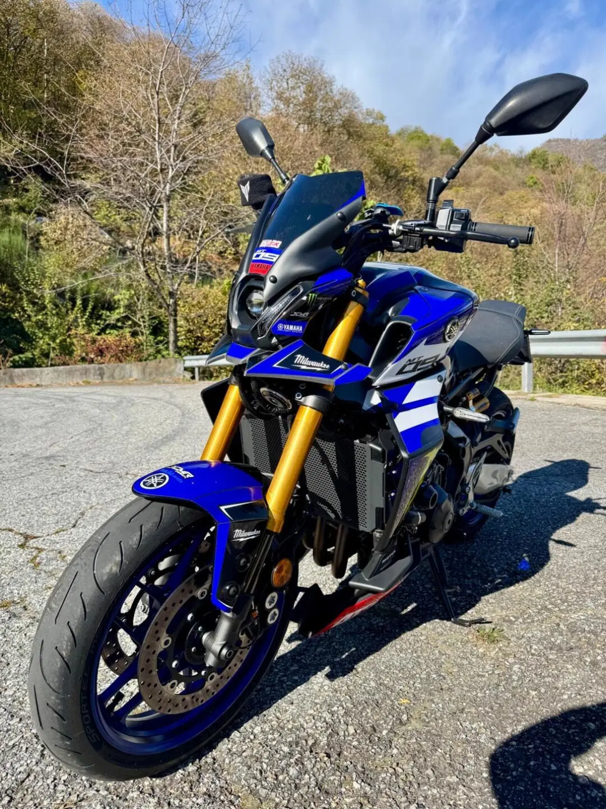 Yamaha MT-09 SP (2021 - 23) (4)