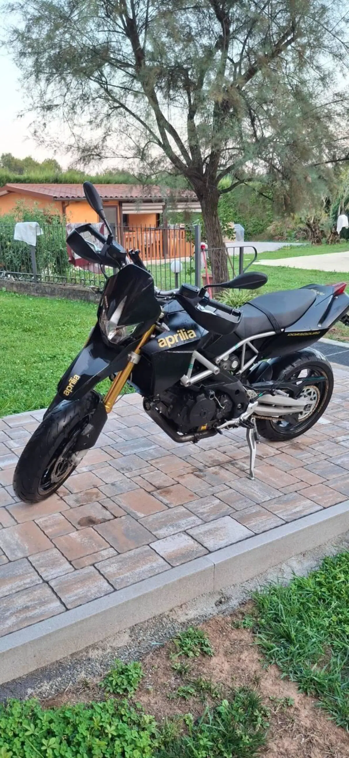 Aprilia Dorsoduro 750 (2009 - 14) (2)