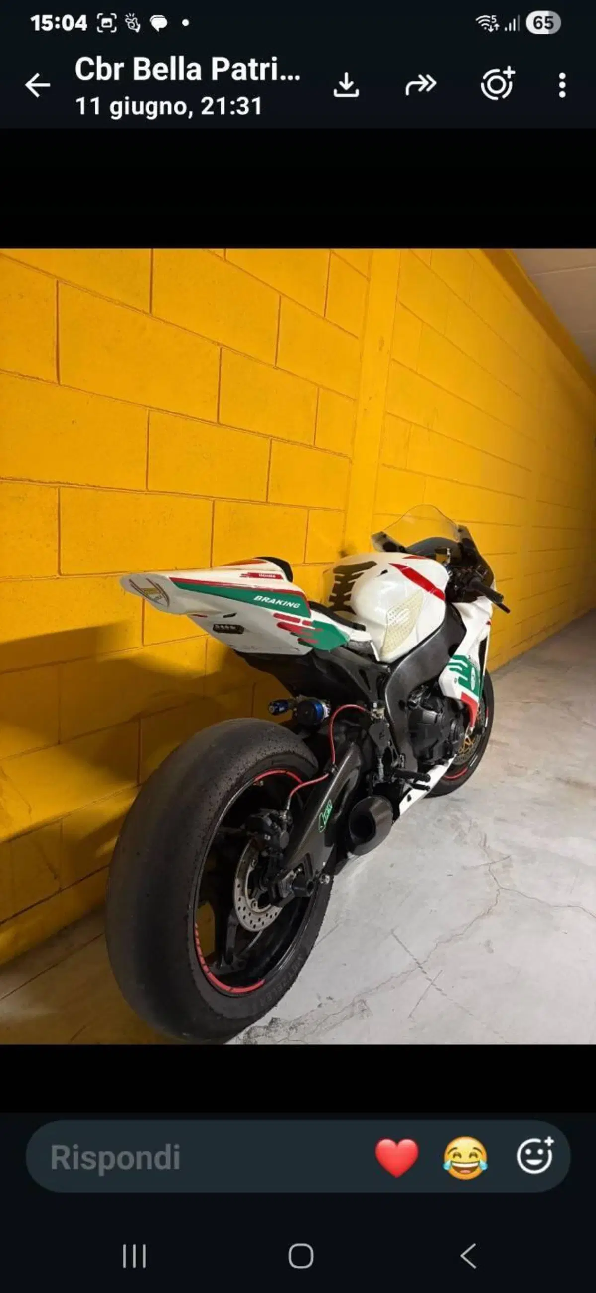 Honda CBR 1000 RR Fireblade (2008 - 11) (2)