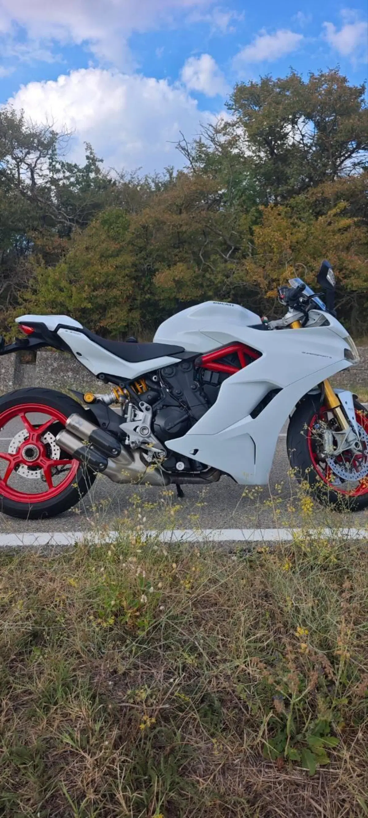 Ducati SuperSport 939 S (2017 - 20) (2)