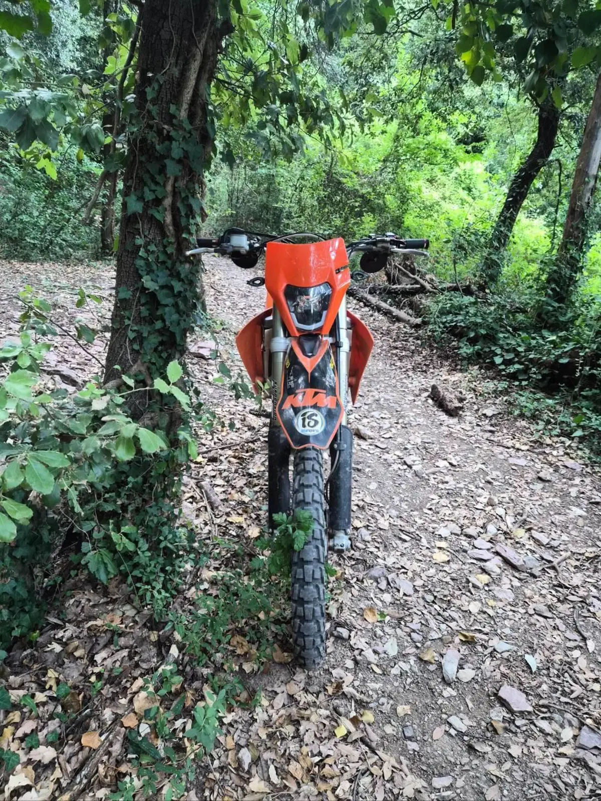 KTM 450 EXC Racing (2005) (5)