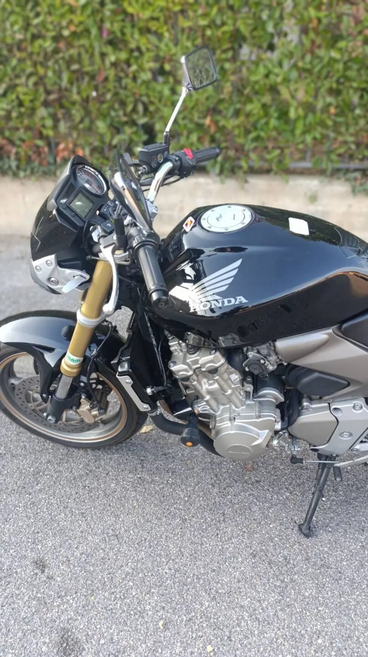 Honda Hornet 600 (2005 - 06) (3)