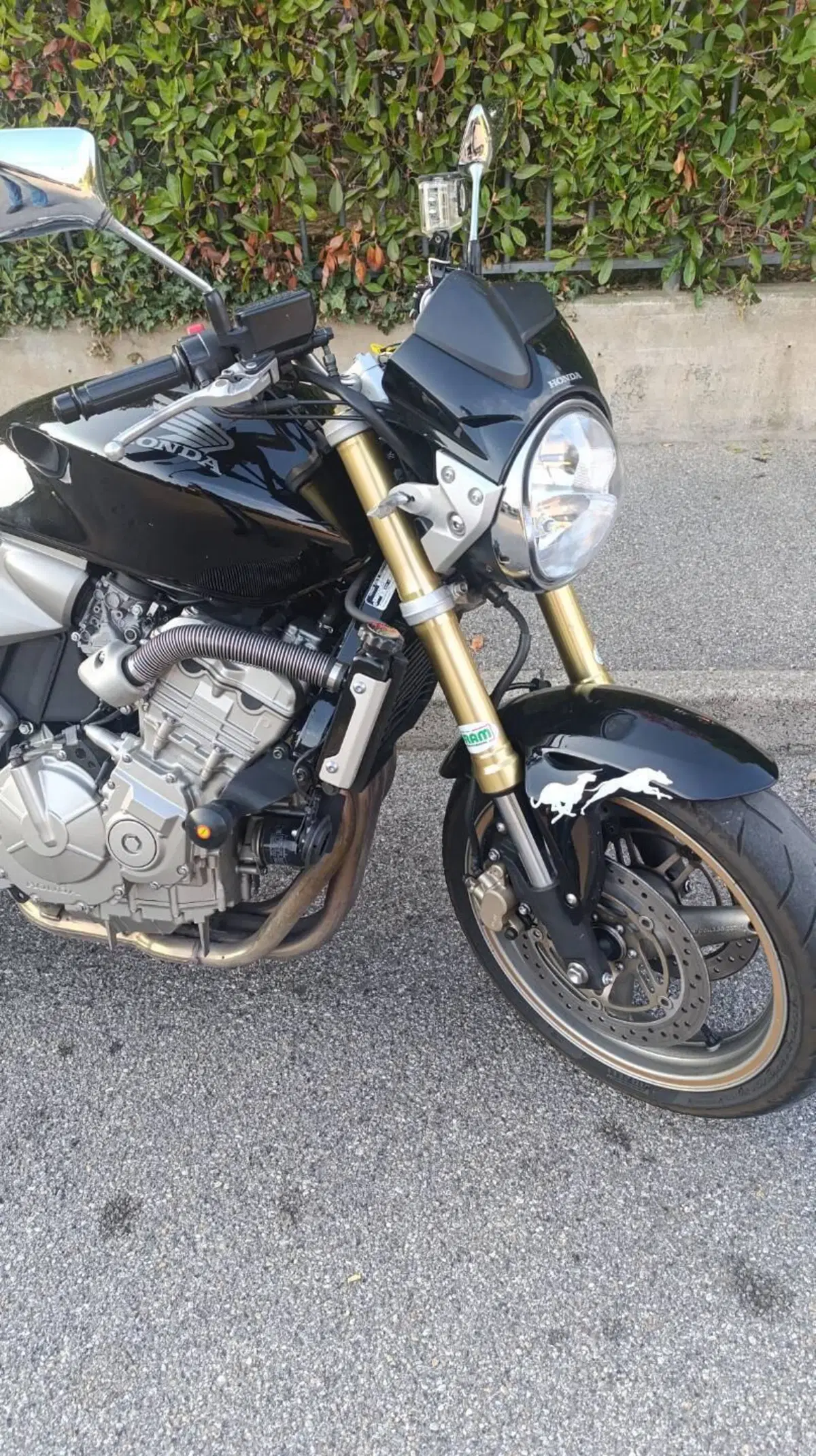 Honda Hornet 600 (2005 - 06) (6)