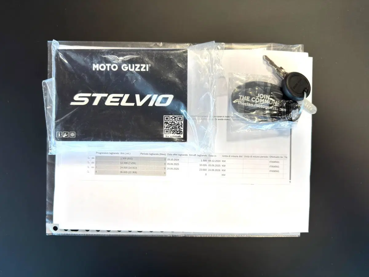 Moto Guzzi Stelvio PFF (2024 - 26) (19)