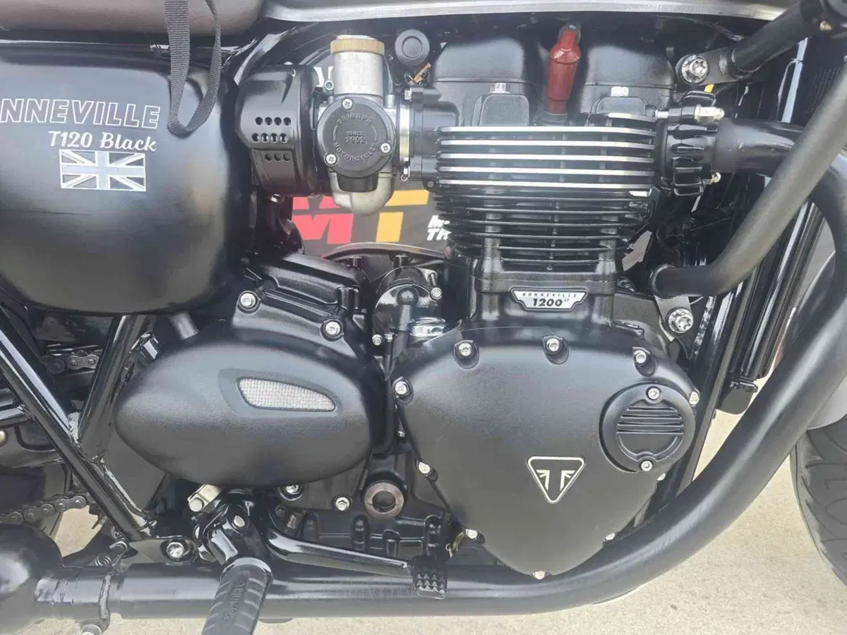 Triumph Bonneville T120 Black (2017 - 20) (8)
