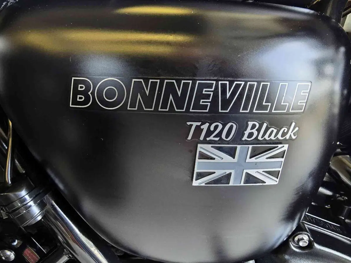 Triumph Bonneville T120 Black (2017 - 20) (29)