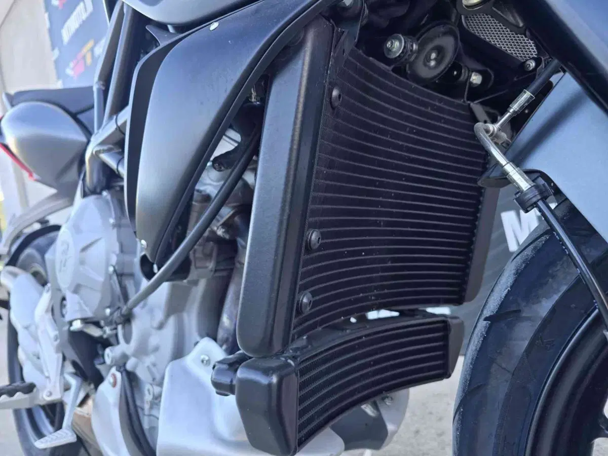 MV Agusta Rivale 800 EAS ABS (2013 - 17) (5)