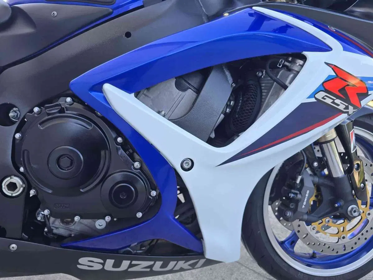 Suzuki GSX R 600 (2006 - 07) (20)