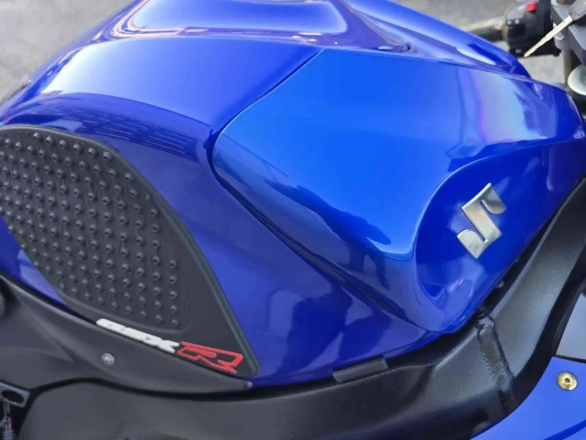 Suzuki GSX R 600 (2006 - 07) (22)
