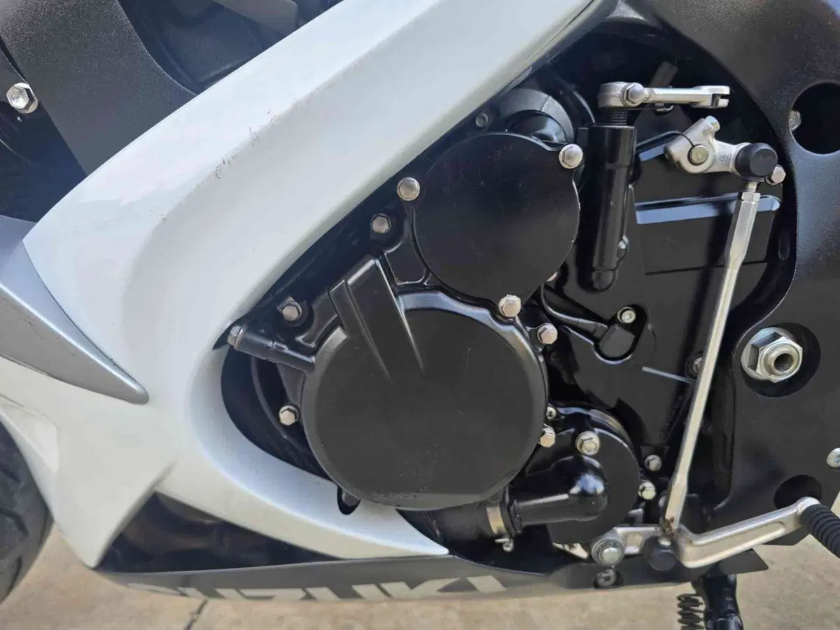 Suzuki GSX R 600 (2008 - 10) (17)