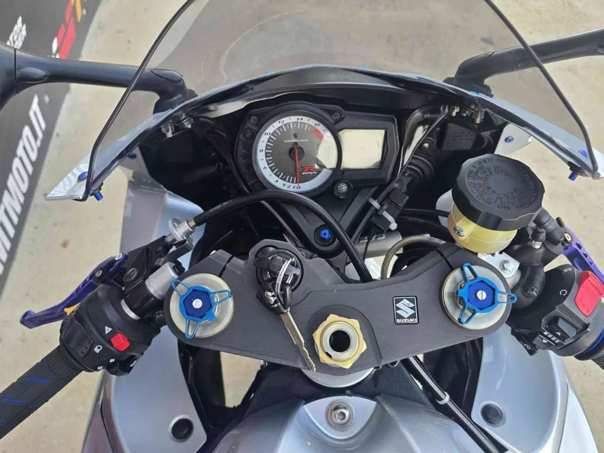 Suzuki GSX R 600 (2008 - 10) (18)