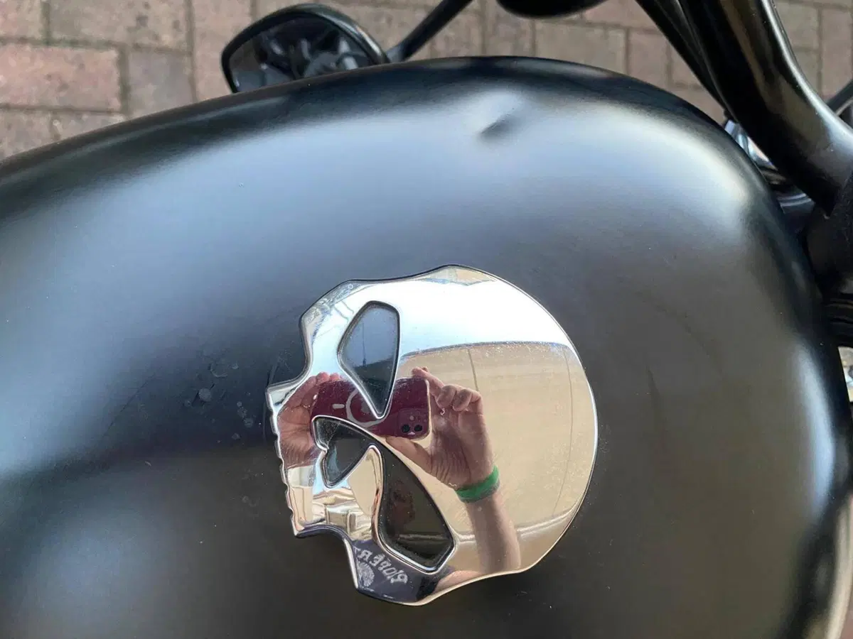 Harley-Davidson 883 Iron (2012 - 14) - XL 883N (2)