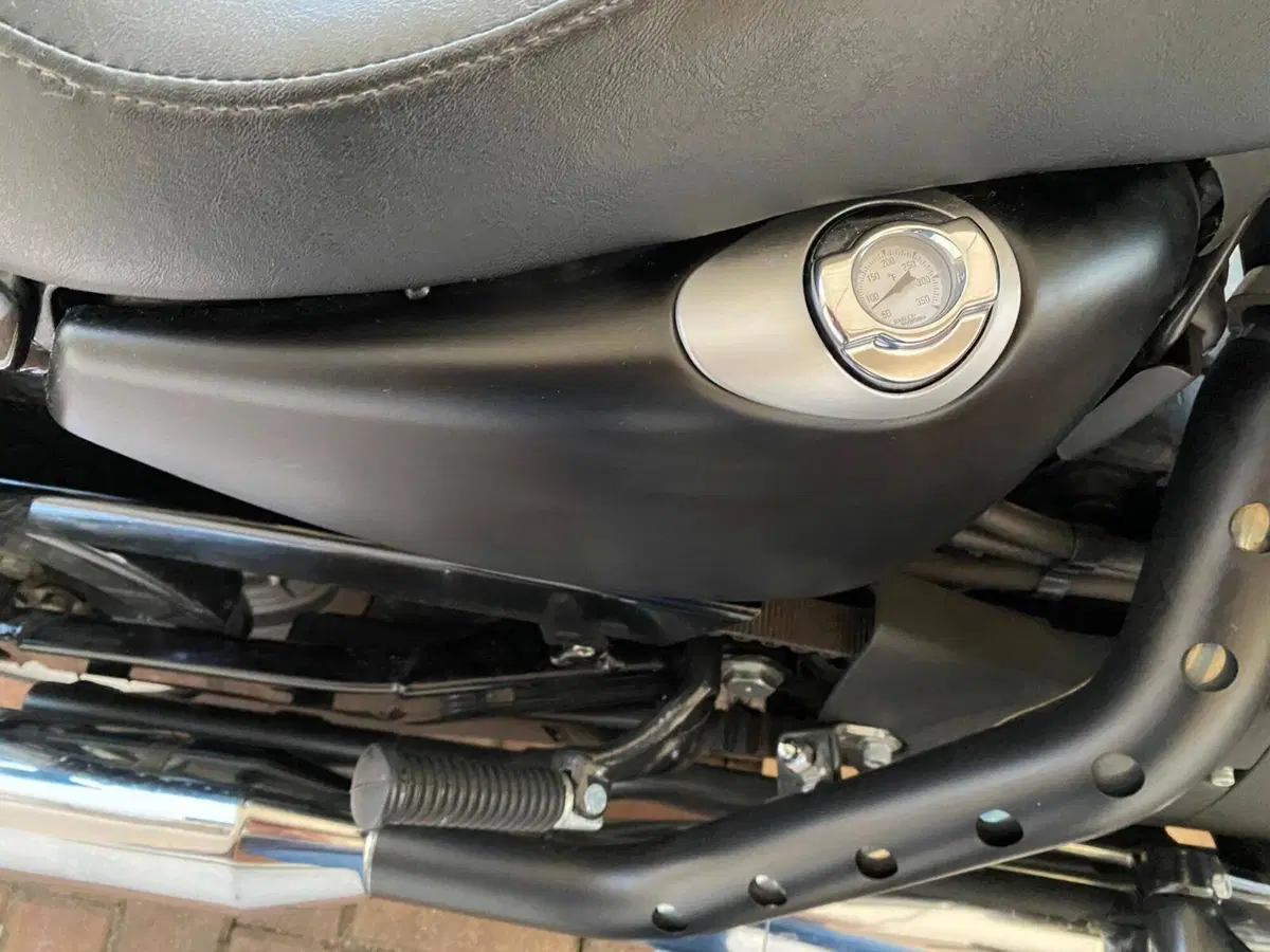 Harley-Davidson 883 Iron (2012 - 14) - XL 883N (4)