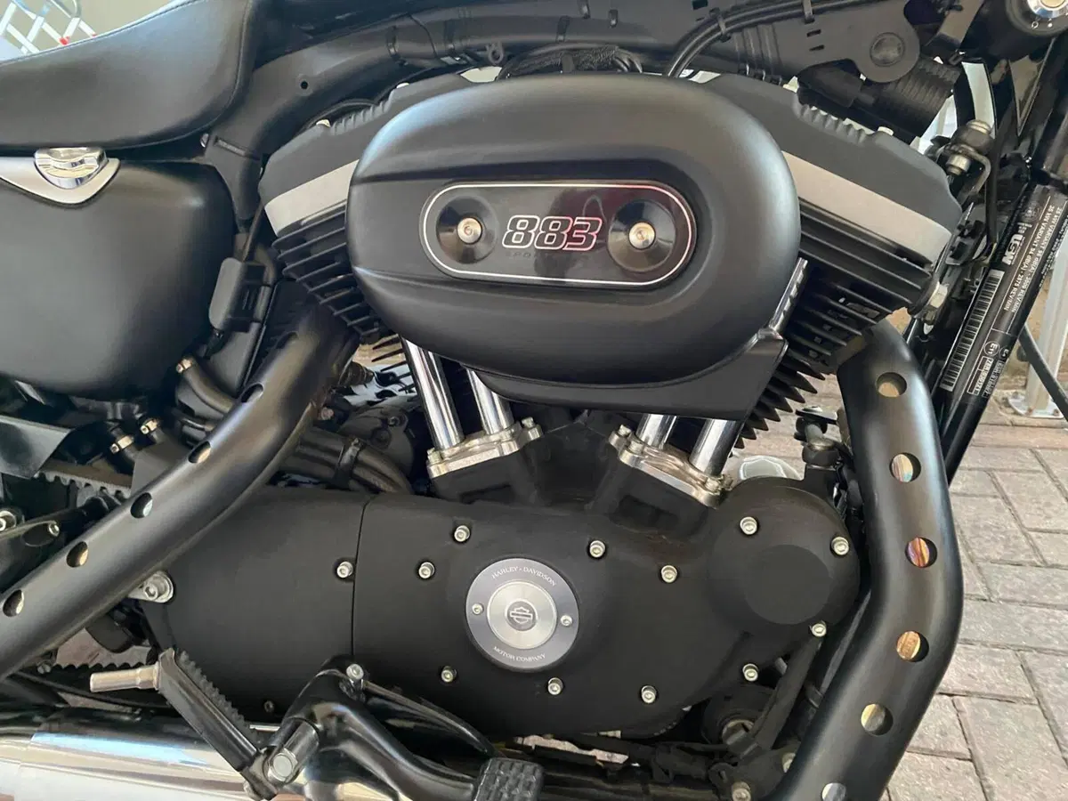 Harley-Davidson 883 Iron (2012 - 14) - XL 883N (8)