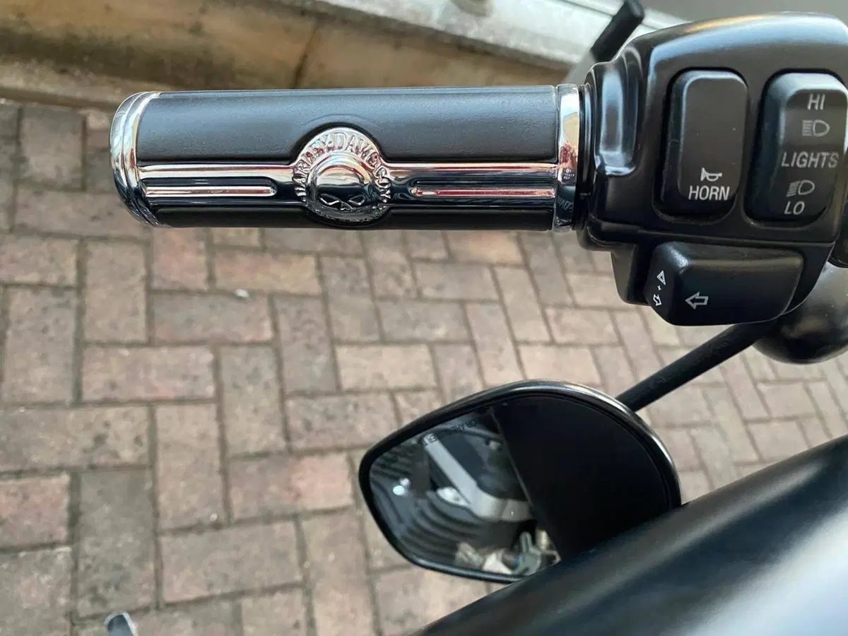 Harley-Davidson 883 Iron (2012 - 14) - XL 883N (11)
