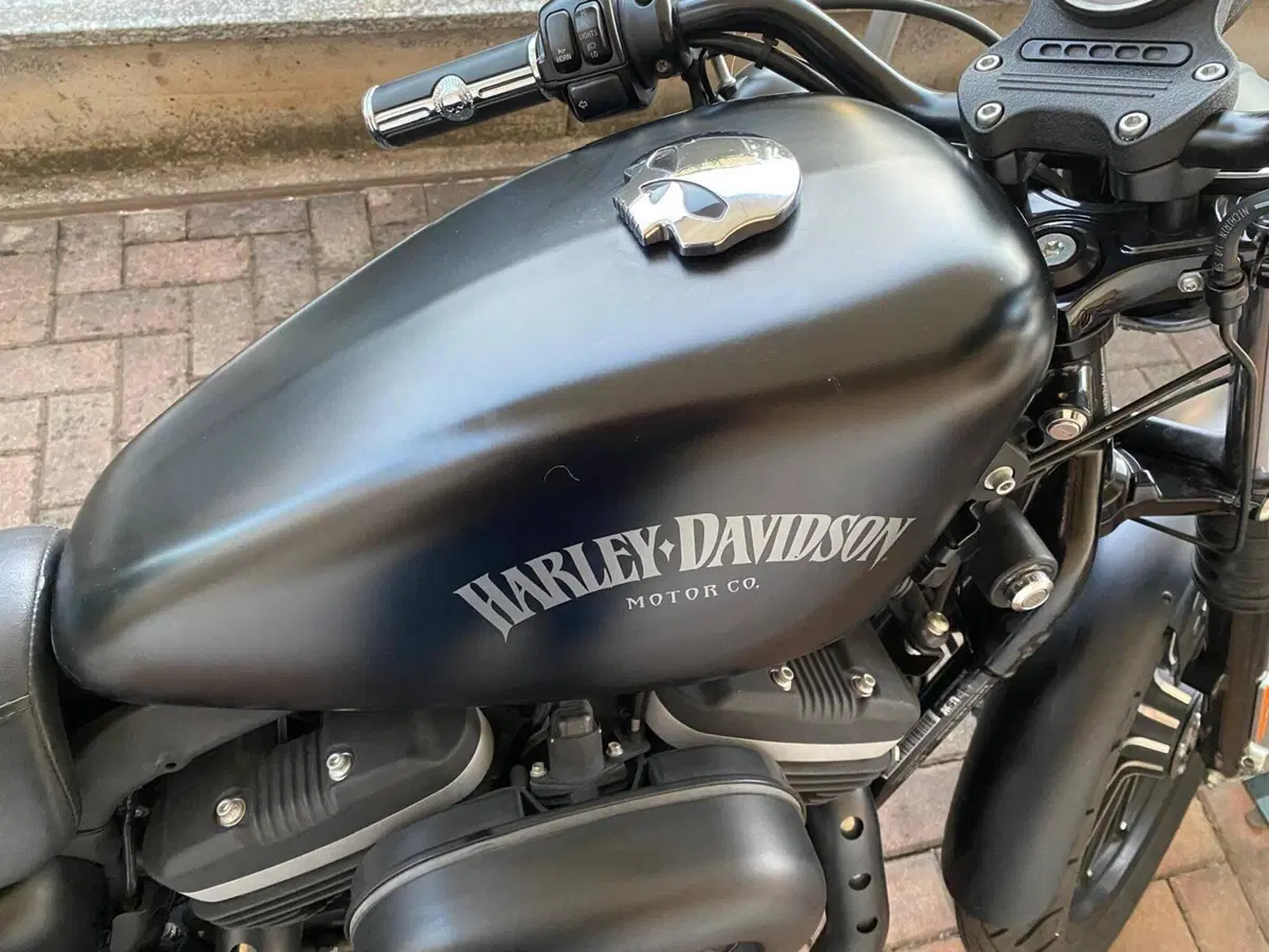 Harley-Davidson 883 Iron (2012 - 14) - XL 883N (12)