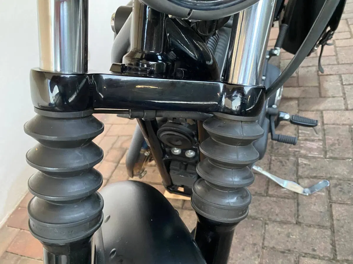 Harley-Davidson 883 Iron (2012 - 14) - XL 883N (20)
