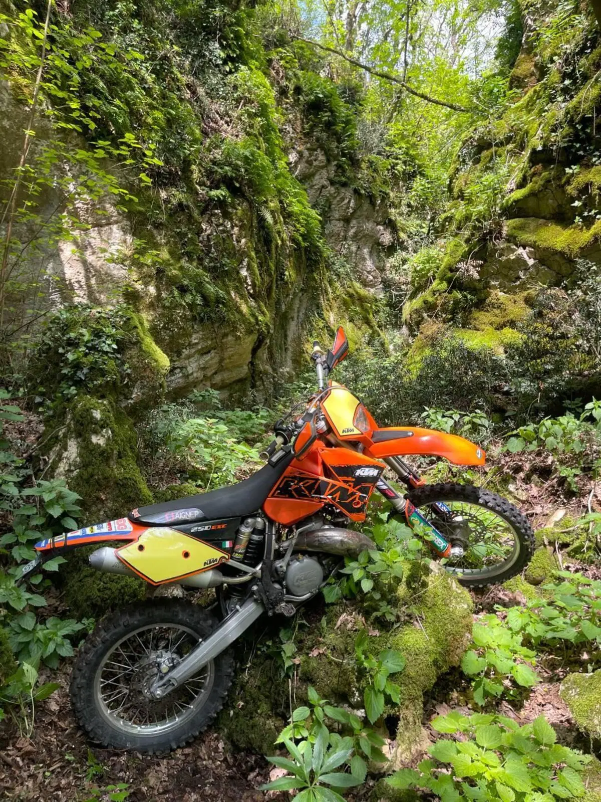 KTM 250 EXC (2005) (3)