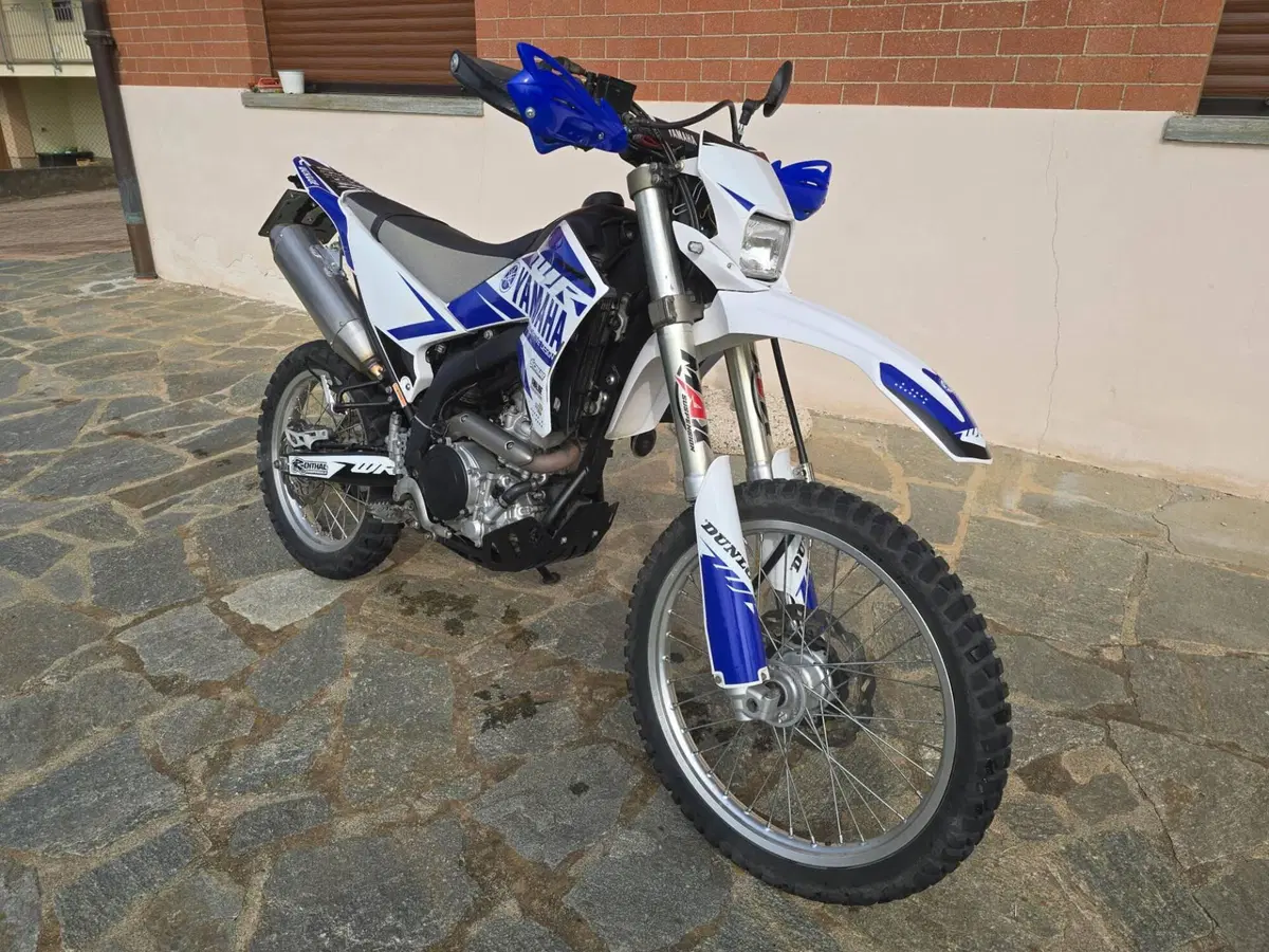 Yamaha WR 250 R (2008 - 13) (2)