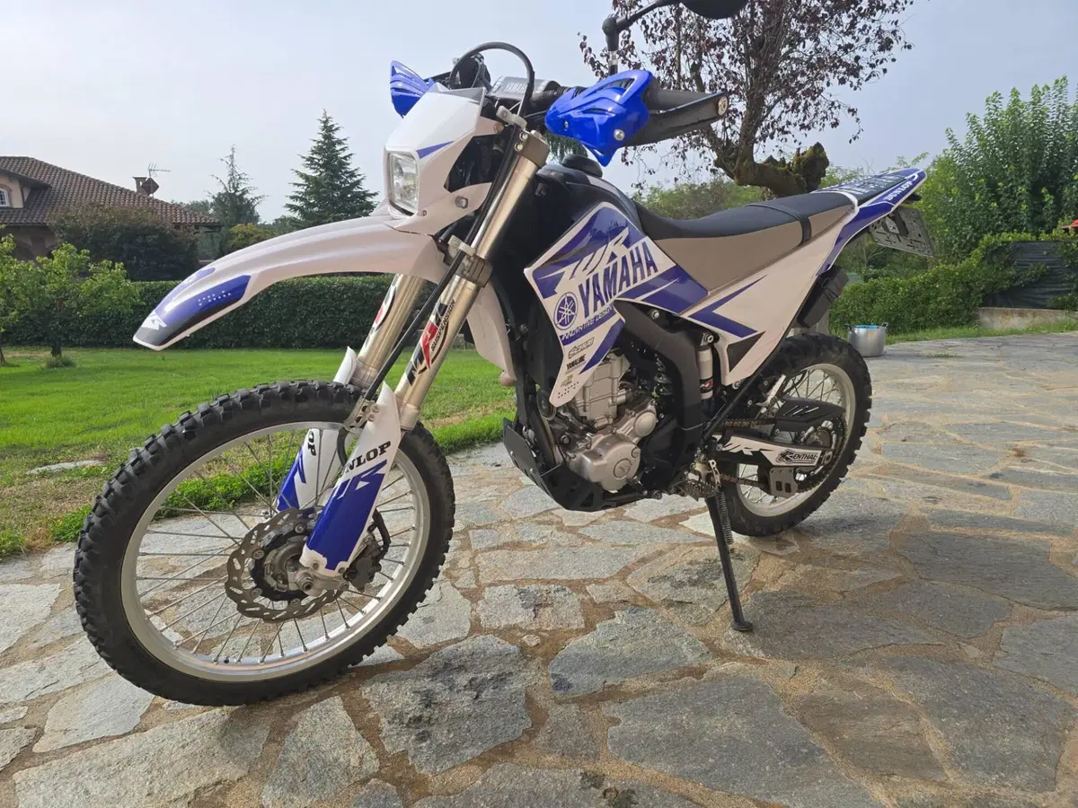 Yamaha WR 250 R (2008 - 13) (4)