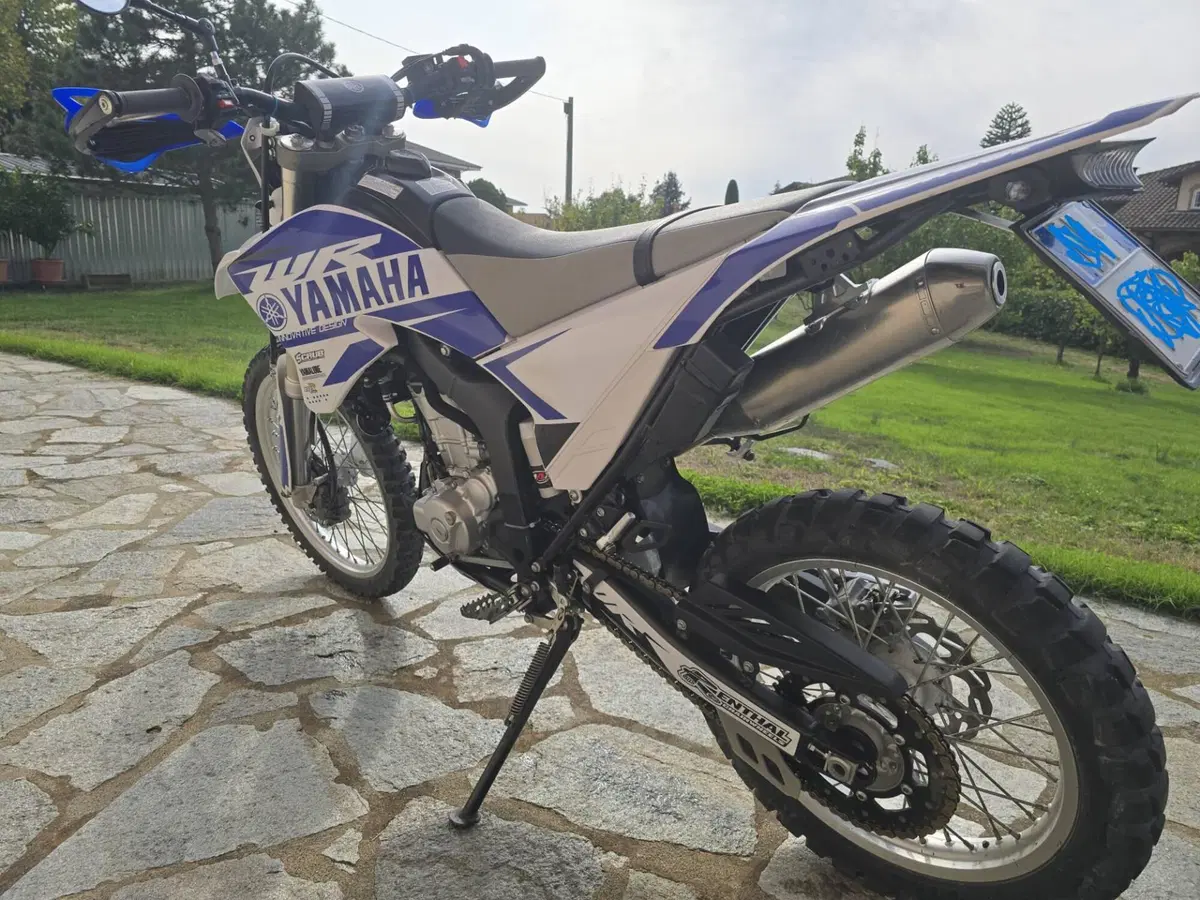 Yamaha WR 250 R (2008 - 13) (5)