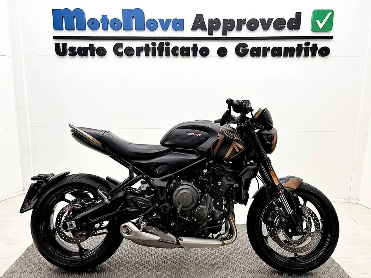 Triumph Trident 660 (2021 - 24)