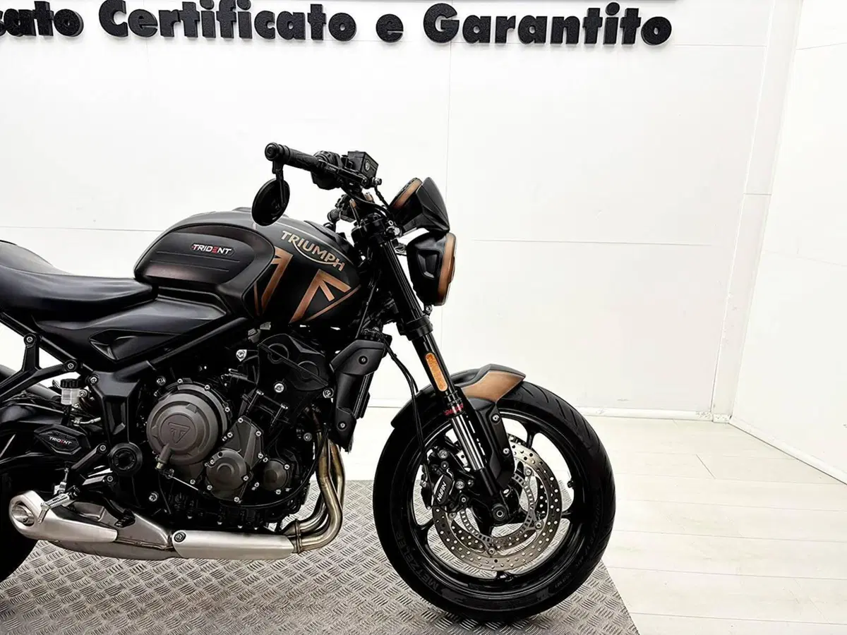 Triumph Trident 660 (2021 - 24) (9)