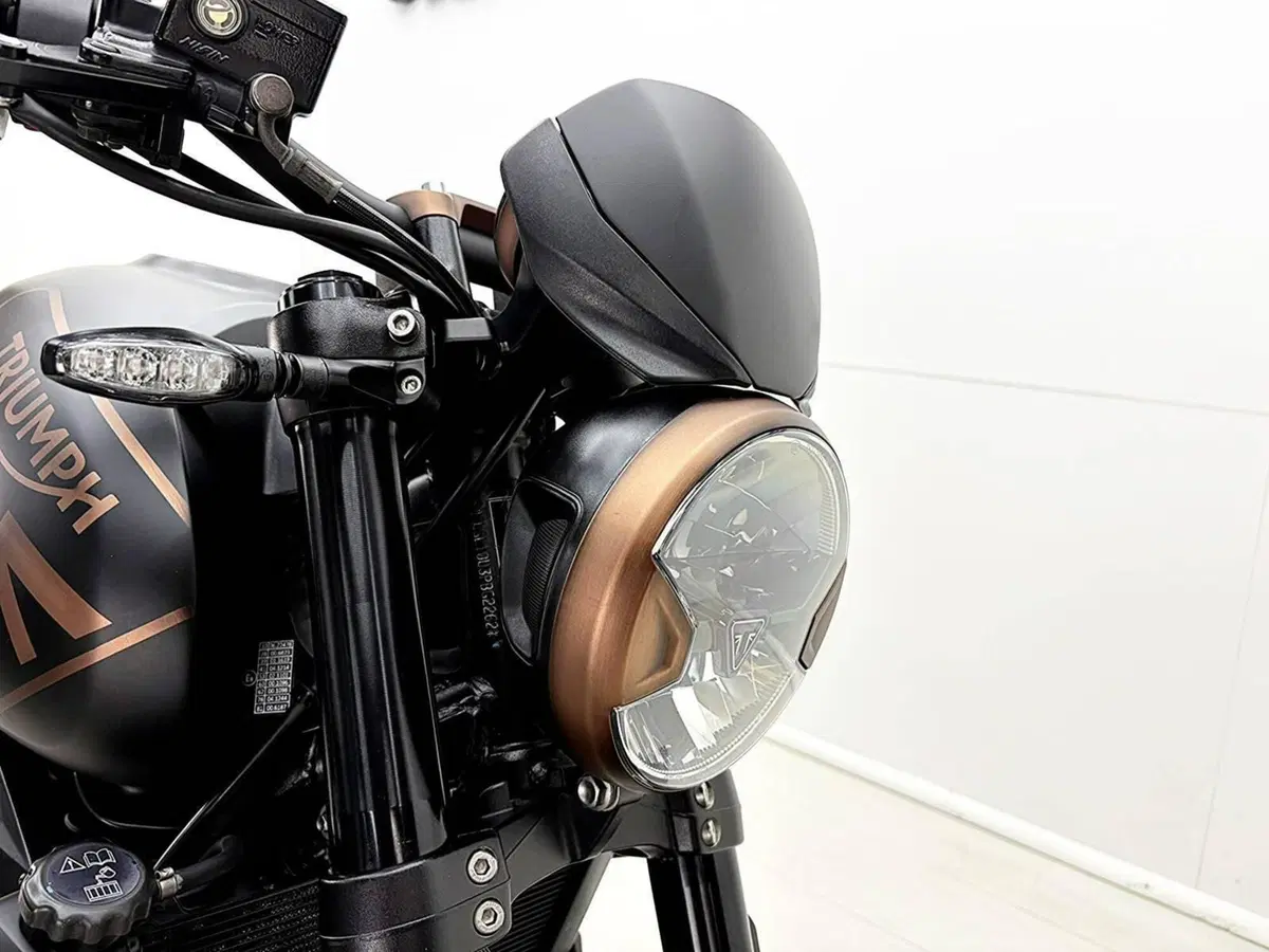 Triumph Trident 660 (2021 - 24) (11)