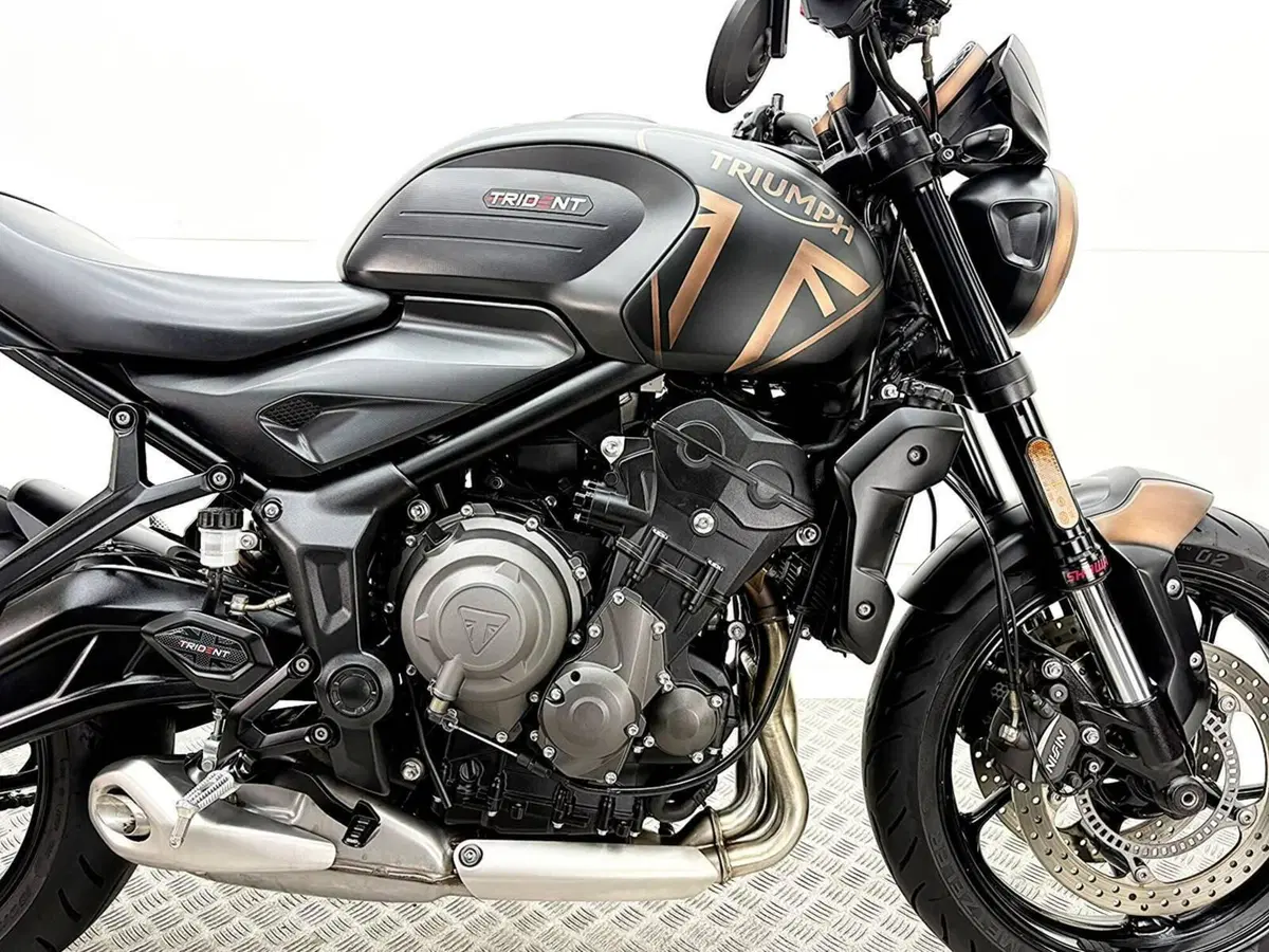Triumph Trident 660 (2021 - 24) (8)
