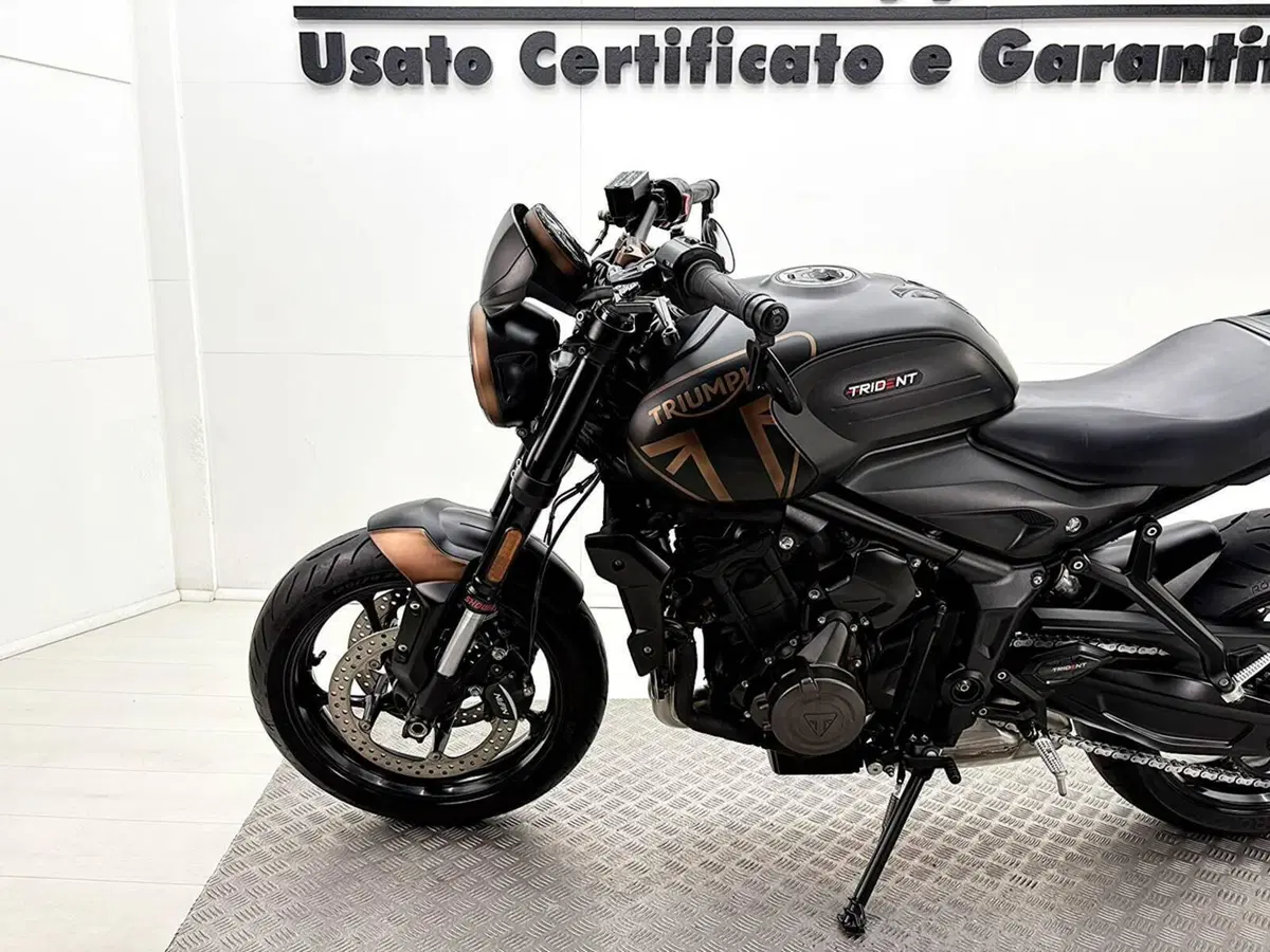 Triumph Trident 660 (2021 - 24) (15)