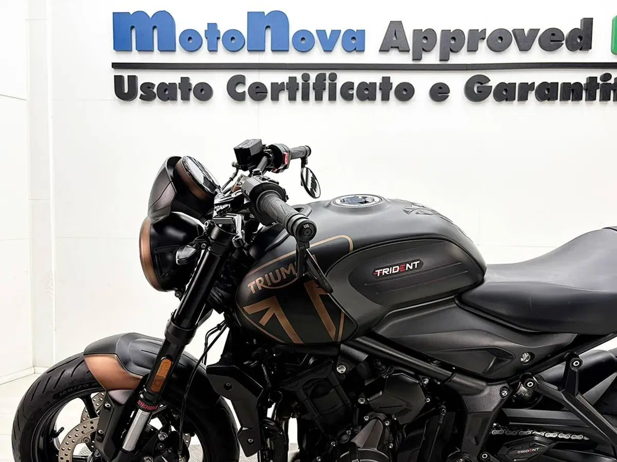 Triumph Trident 660 (2021 - 24) (14)