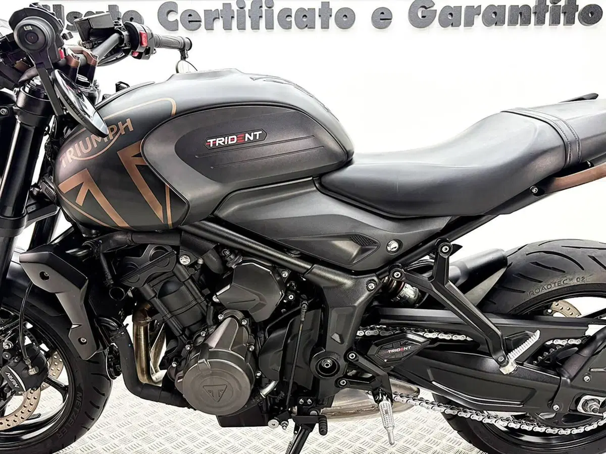 Triumph Trident 660 (2021 - 24) (16)