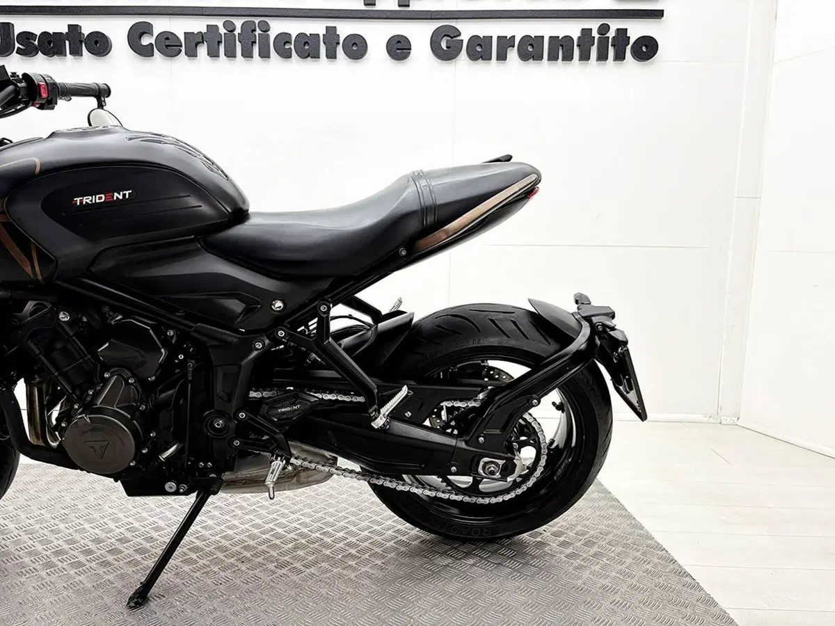 Triumph Trident 660 (2021 - 24) (17)