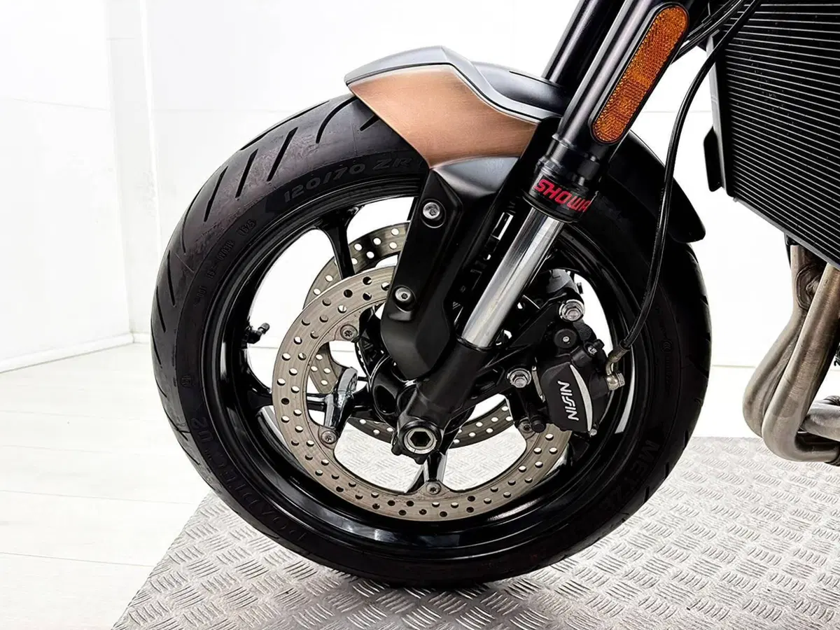 Triumph Trident 660 (2021 - 24) (13)