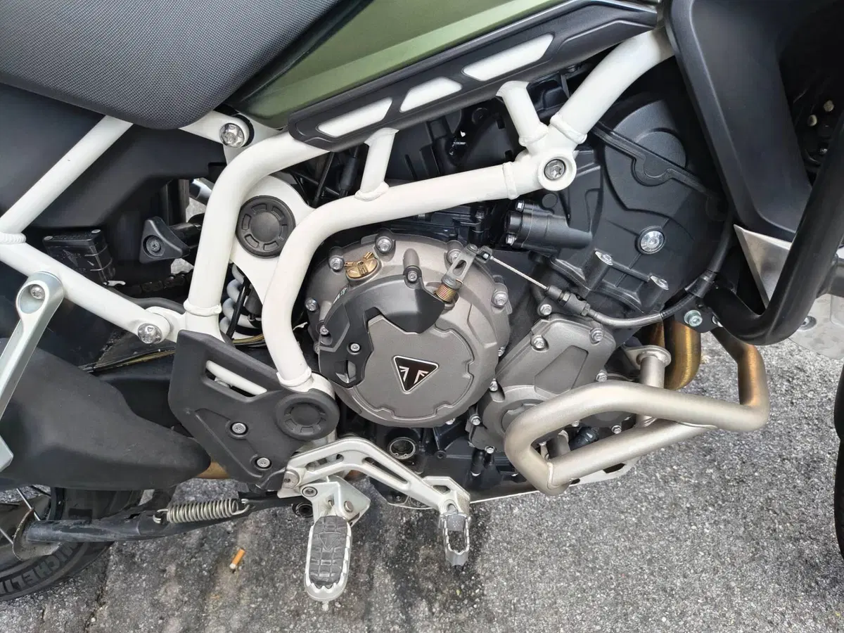 Triumph Tiger 900 Rally Pro (2020 - 23) (3)