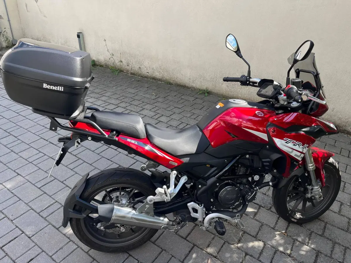 Benelli TRK 251 (2019 - 20) (4)