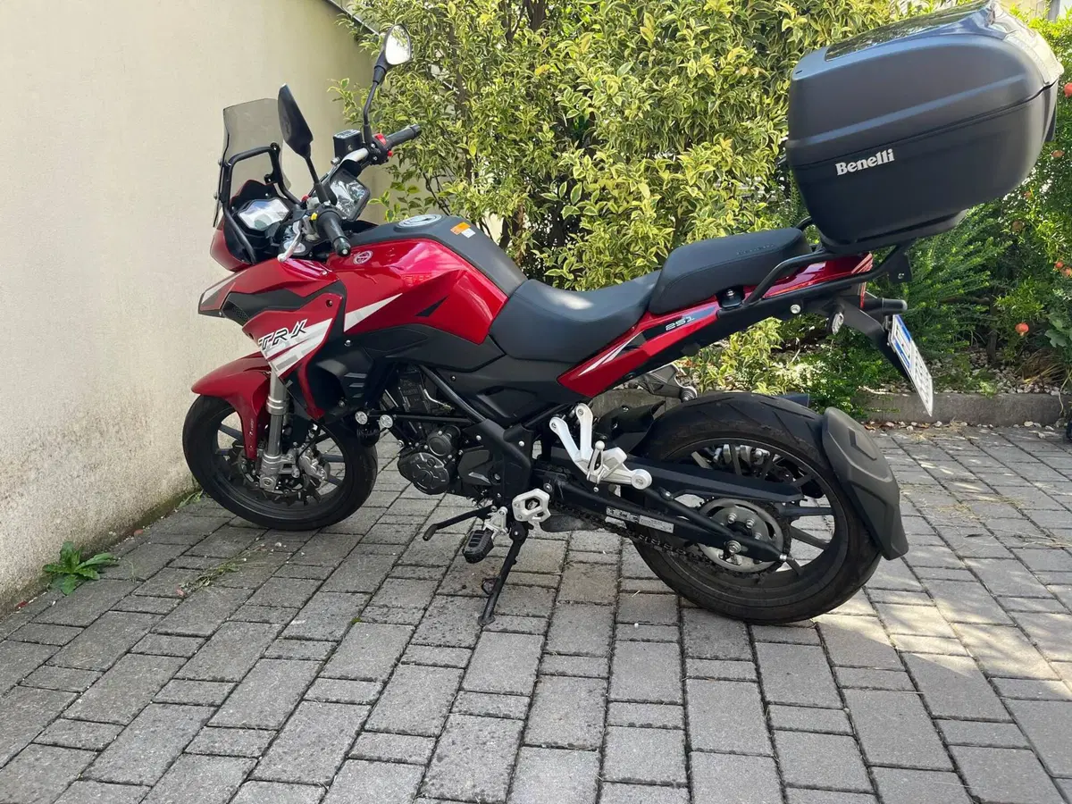 Benelli TRK 251 (2019 - 20) (5)