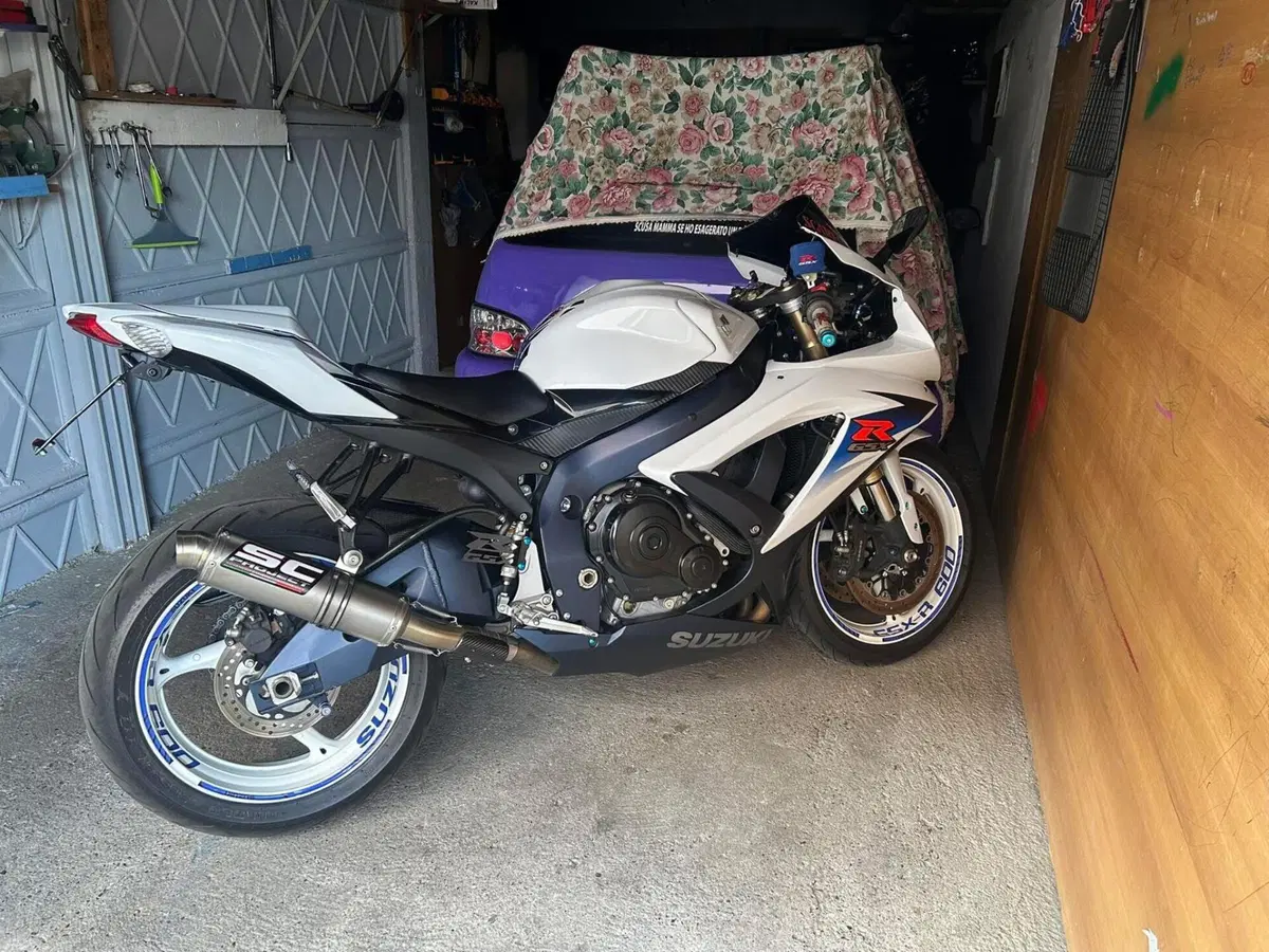 Suzuki GSX R 600 (2008 - 10)